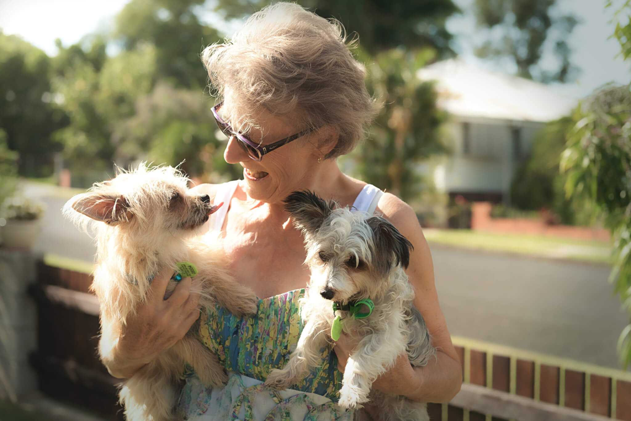 The Financial Checklist for Your First Dog or Cat