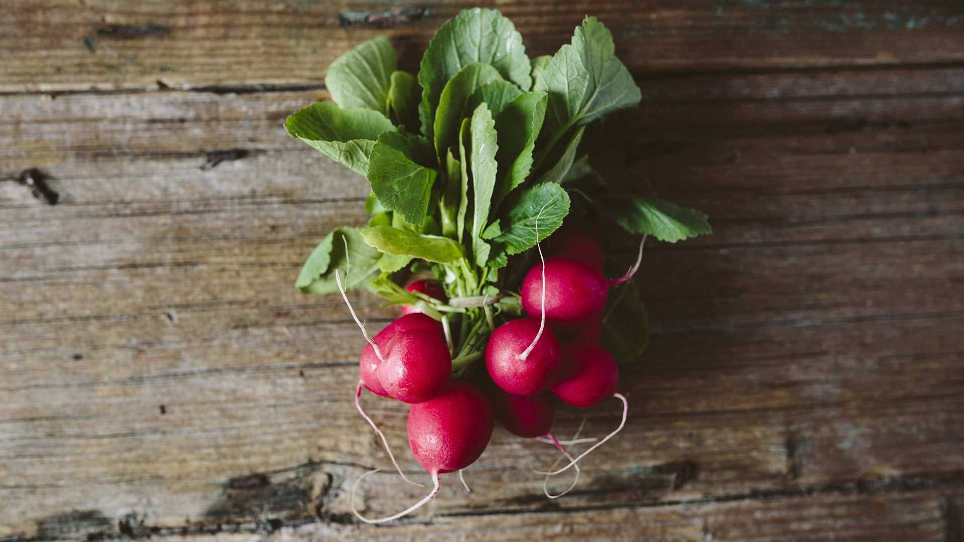 How to grow radishes