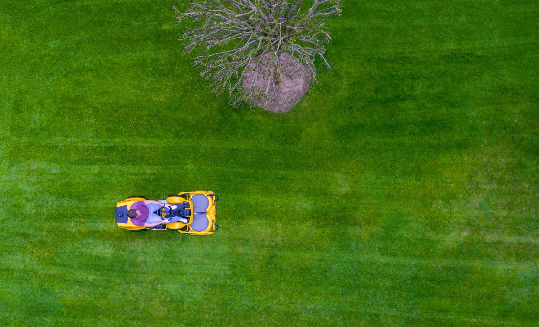 lawn mower on lawn