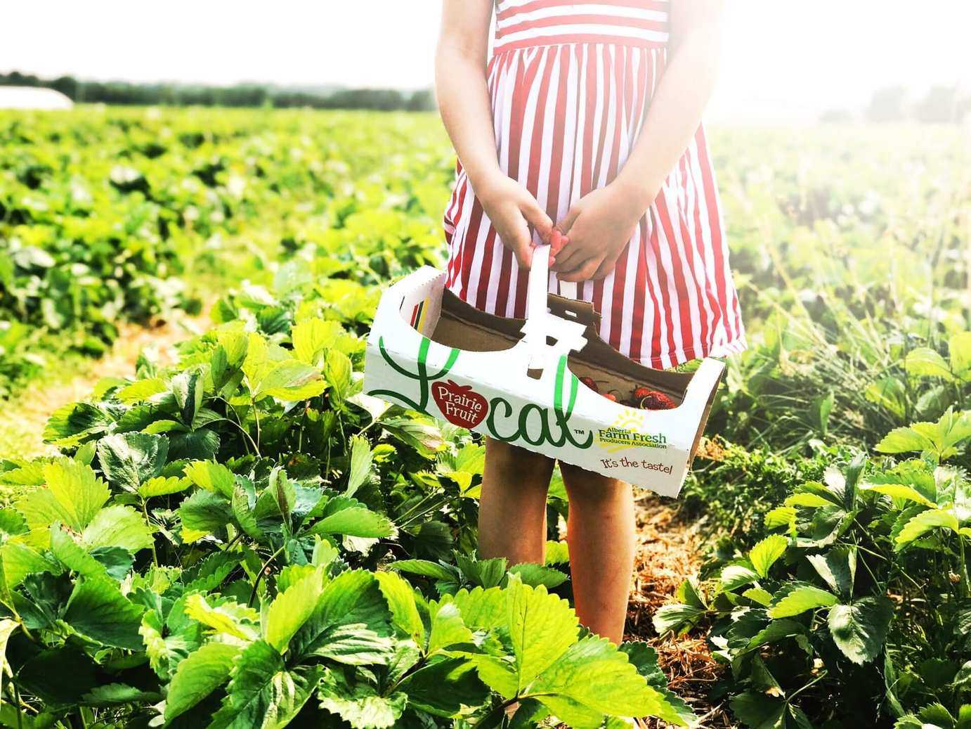 Planning Meals on a Tight Budget? Here Are 5 Ways to Keep it Healthy and Cheap