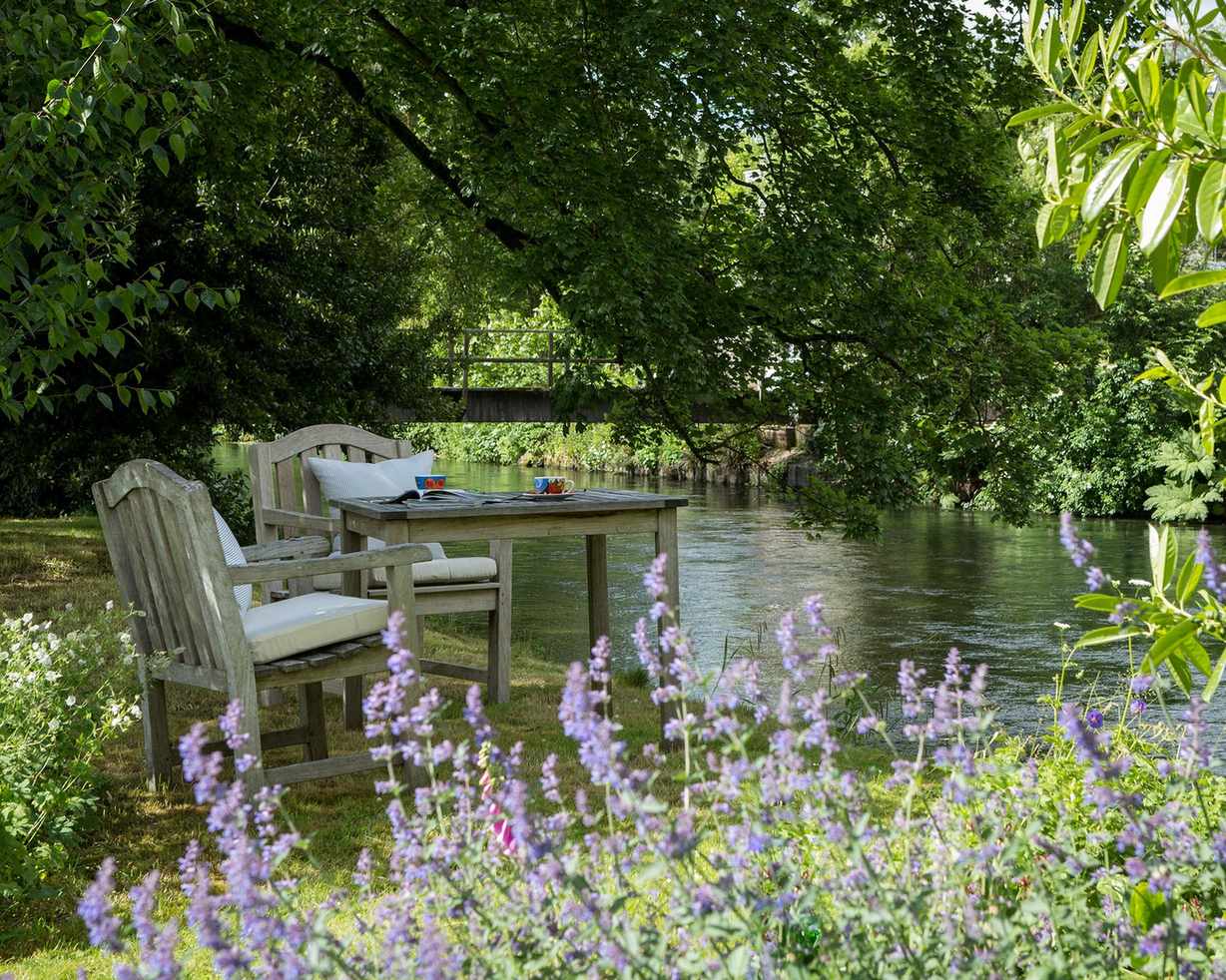 Rewilding: 10 ways to rewild your garden