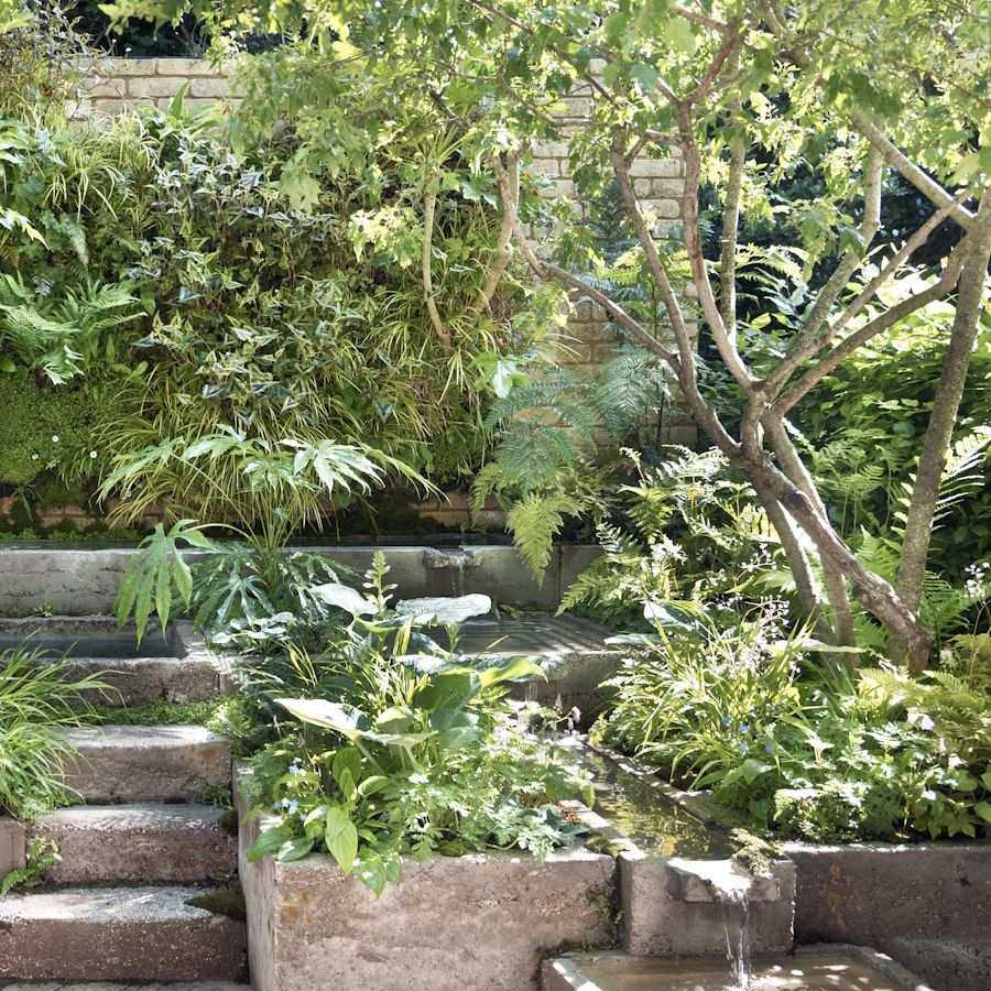 RHS Chelsea 2024 shady container garden