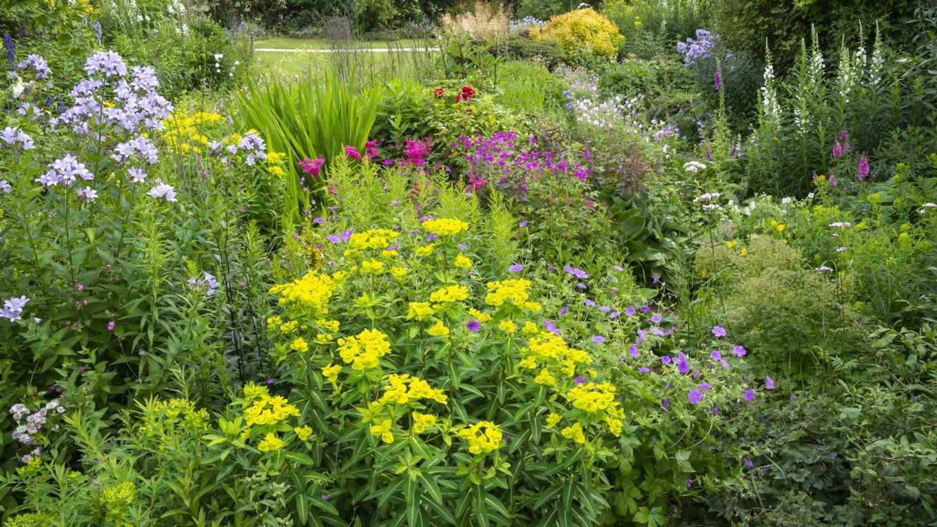 What to plant in February – a horticulturist picks 11 of the best to add impact, structure and texture to a garden