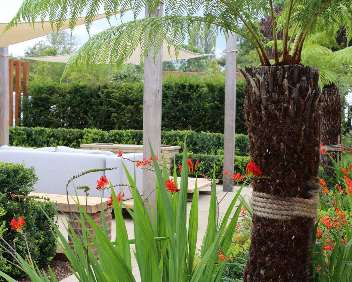 Courtyard with bold splashes of orange Crocosmia