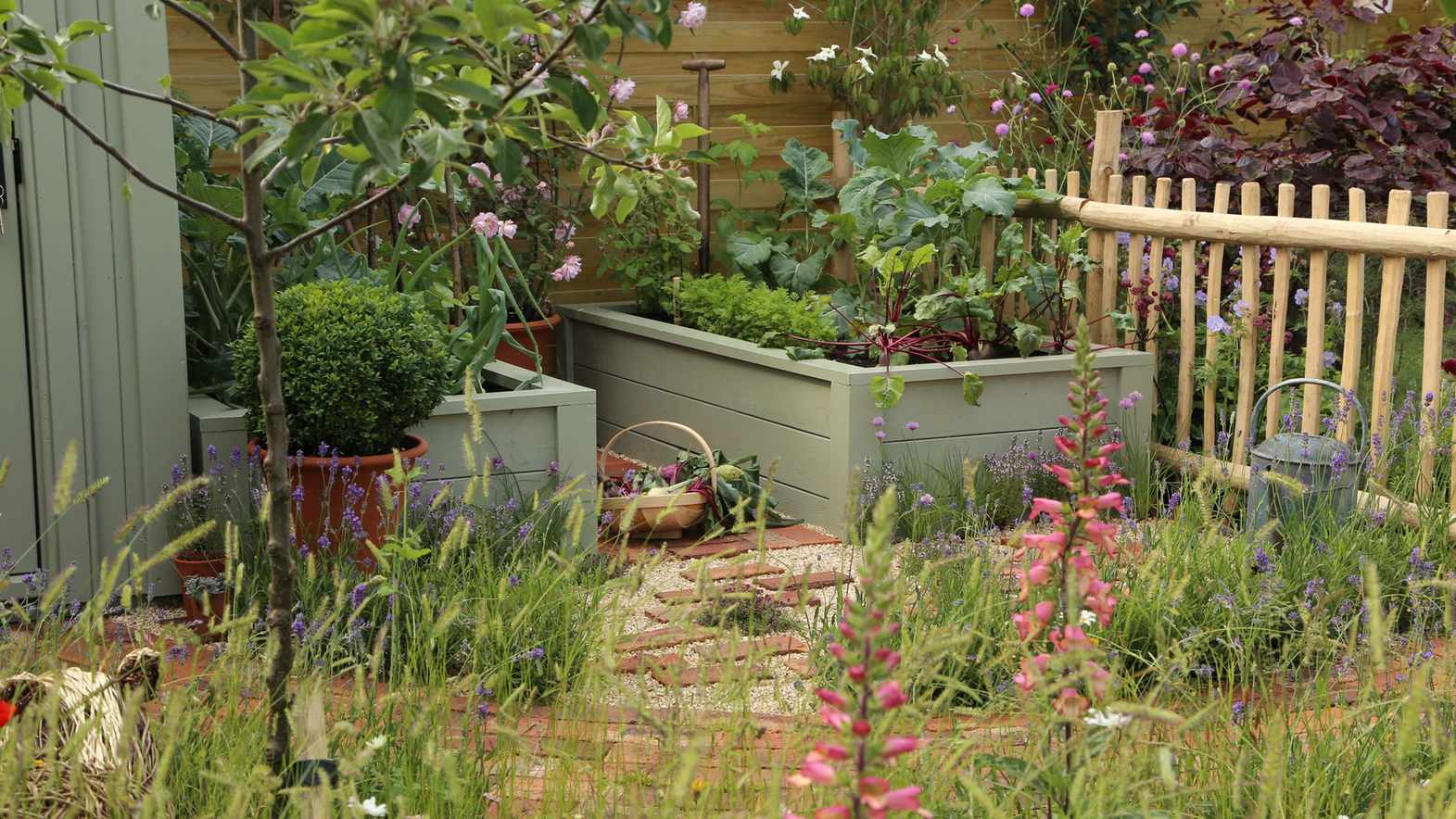 How to build a raised garden bed – materials to use and planting ideas