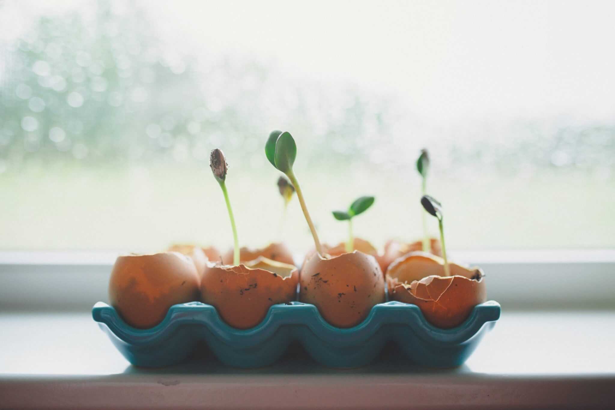 IRA vs. 401(k) – What’s the Difference?