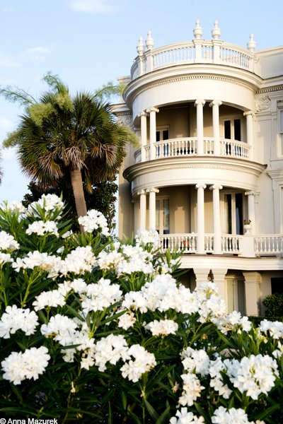 Charleston Top 5: The Battery & Compromise House