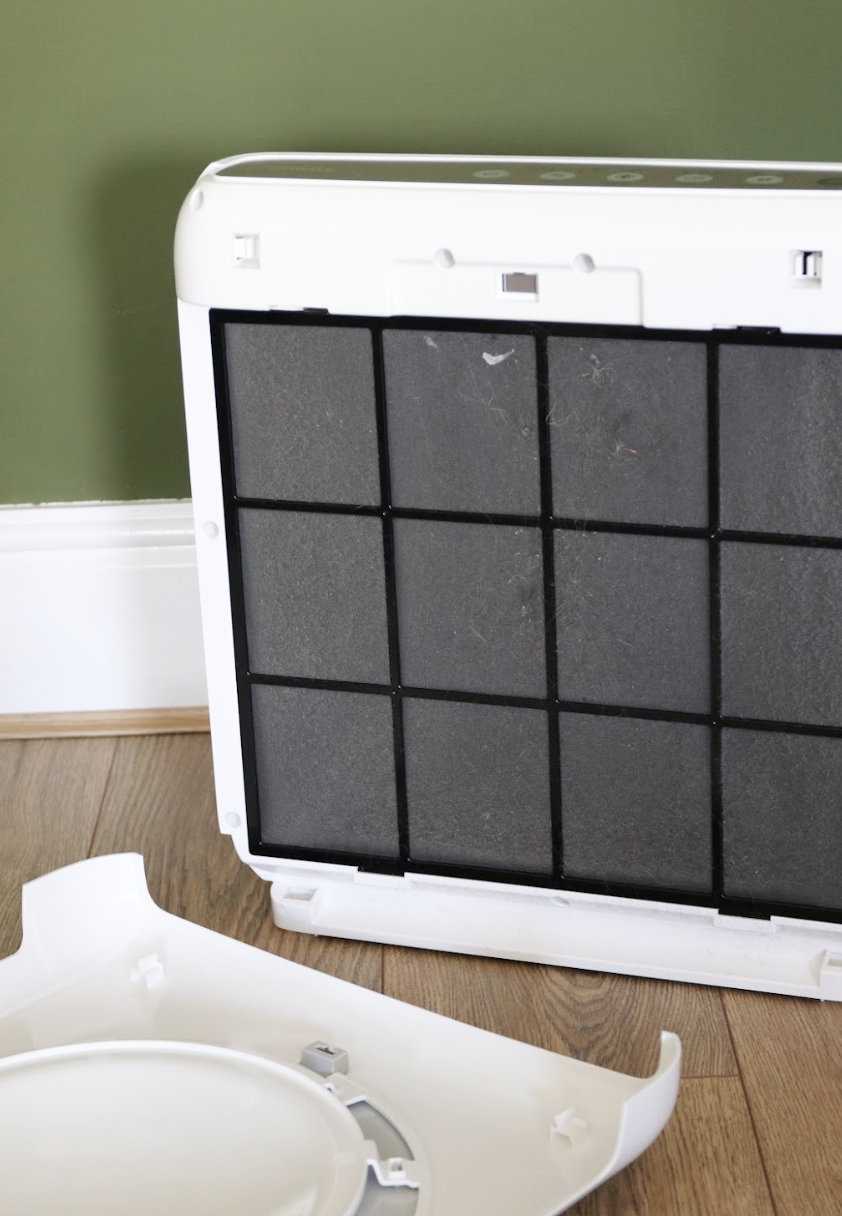 Coway Airmega Mighty Air Purifier with the backing removed, revealing paneled filter inside, in front of greenwall on wooden floor in Gabriella Dyson's home