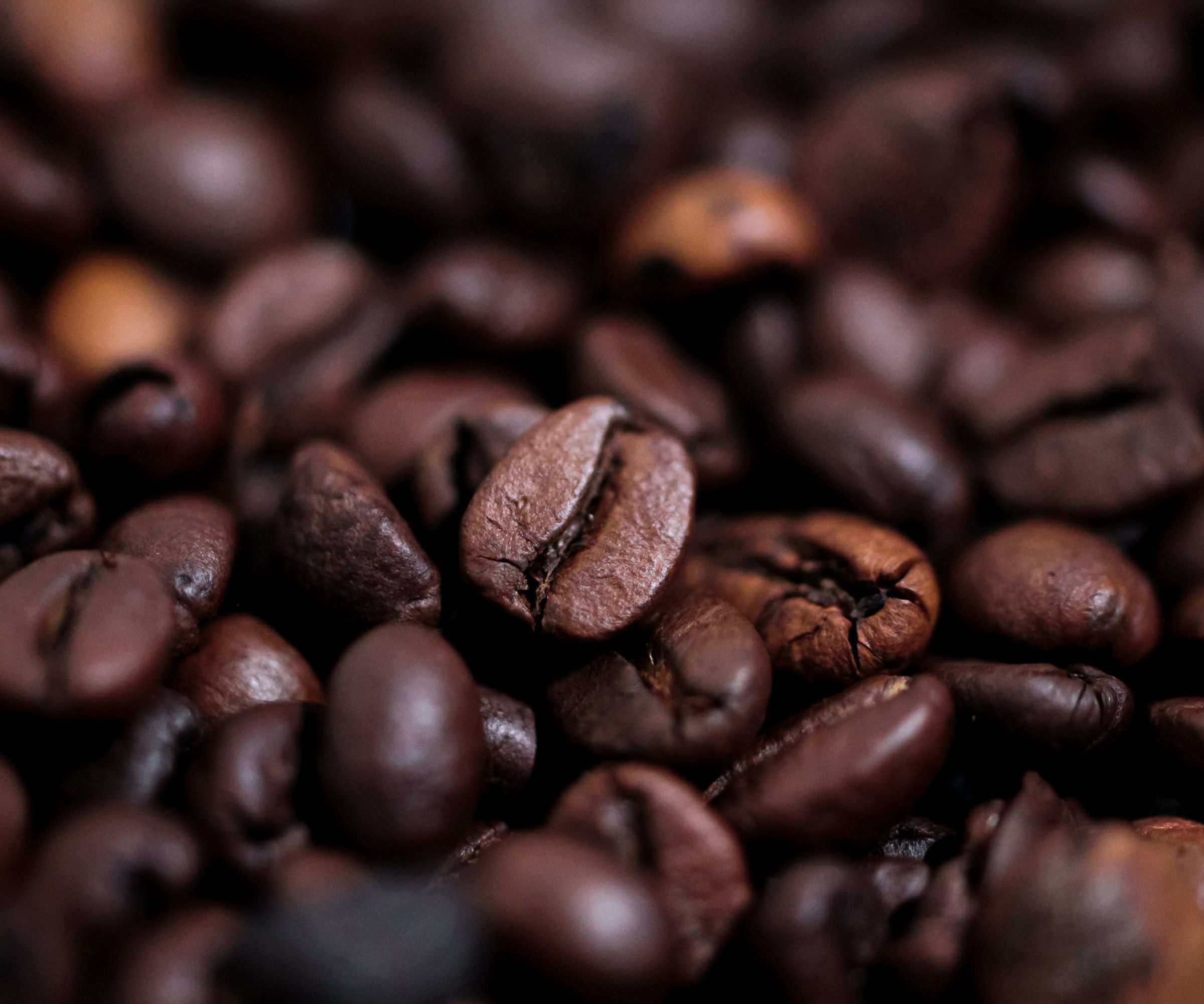 coffee beans
