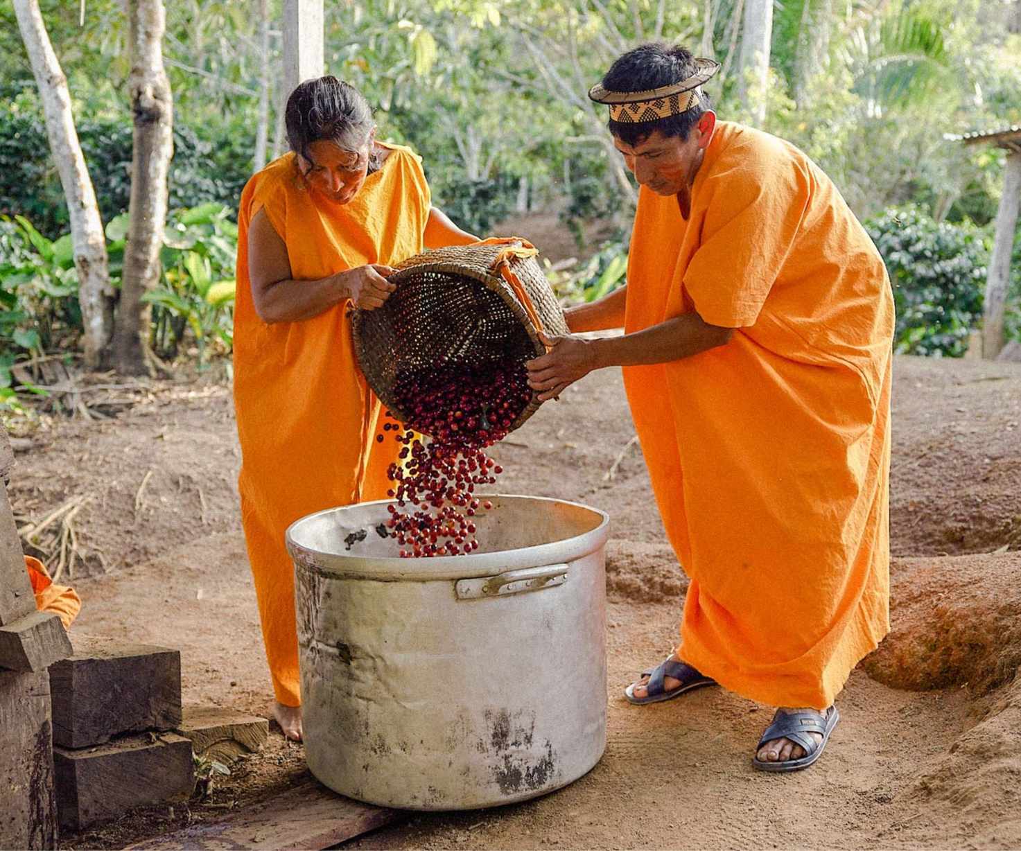 Workers pouring coffee beans into a drum
