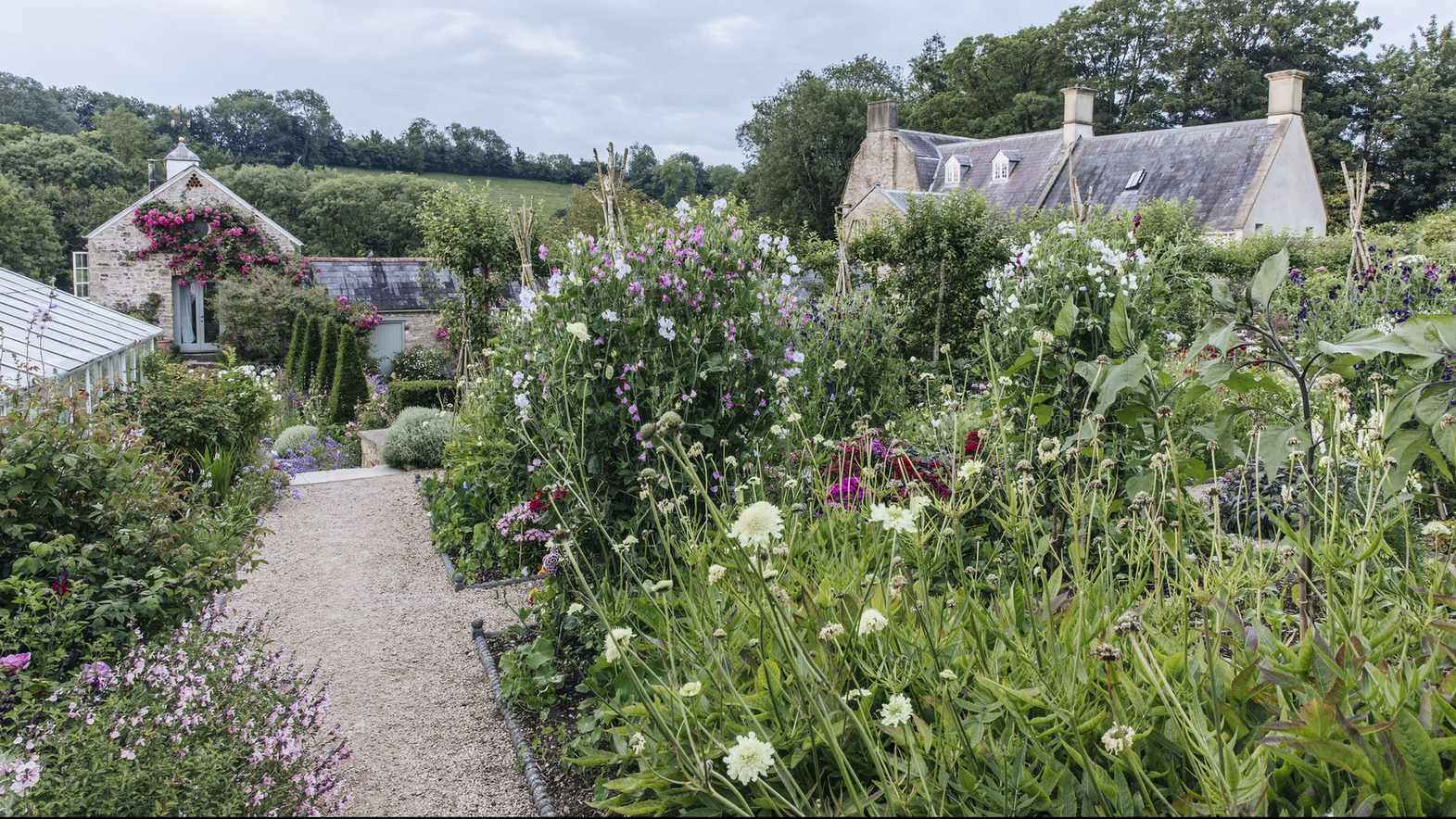 How to plant a cottage garden border