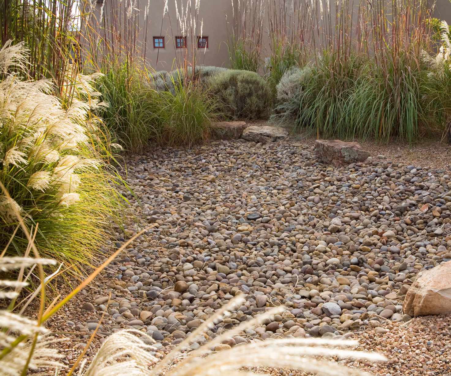 Miscanthus grass planted around rain garden with gravel and rocks