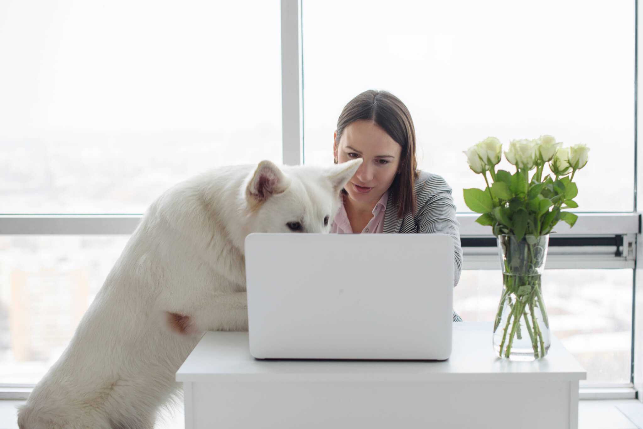 Can I Take The Home Office Deduction + All Your 2025 Tax Questions Answered