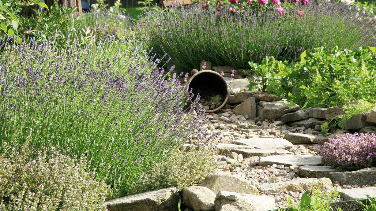 Rock garden ideas – 20 ways to create a stylish rockery in your backyard