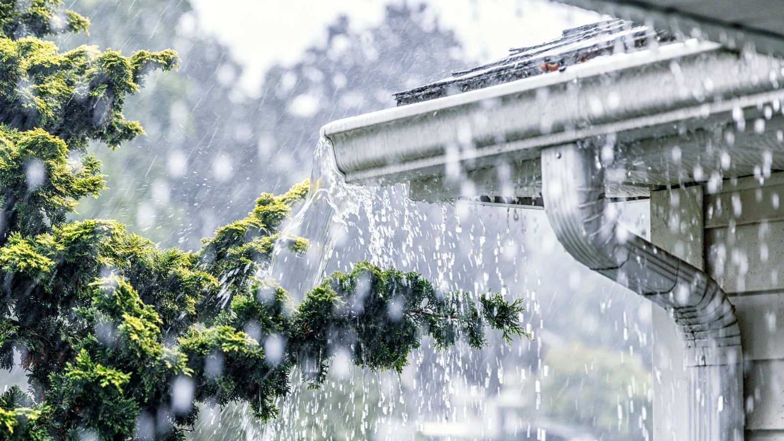 How to prepare your yard for a storm – 8 construction pro-approved tips to protect your plot
