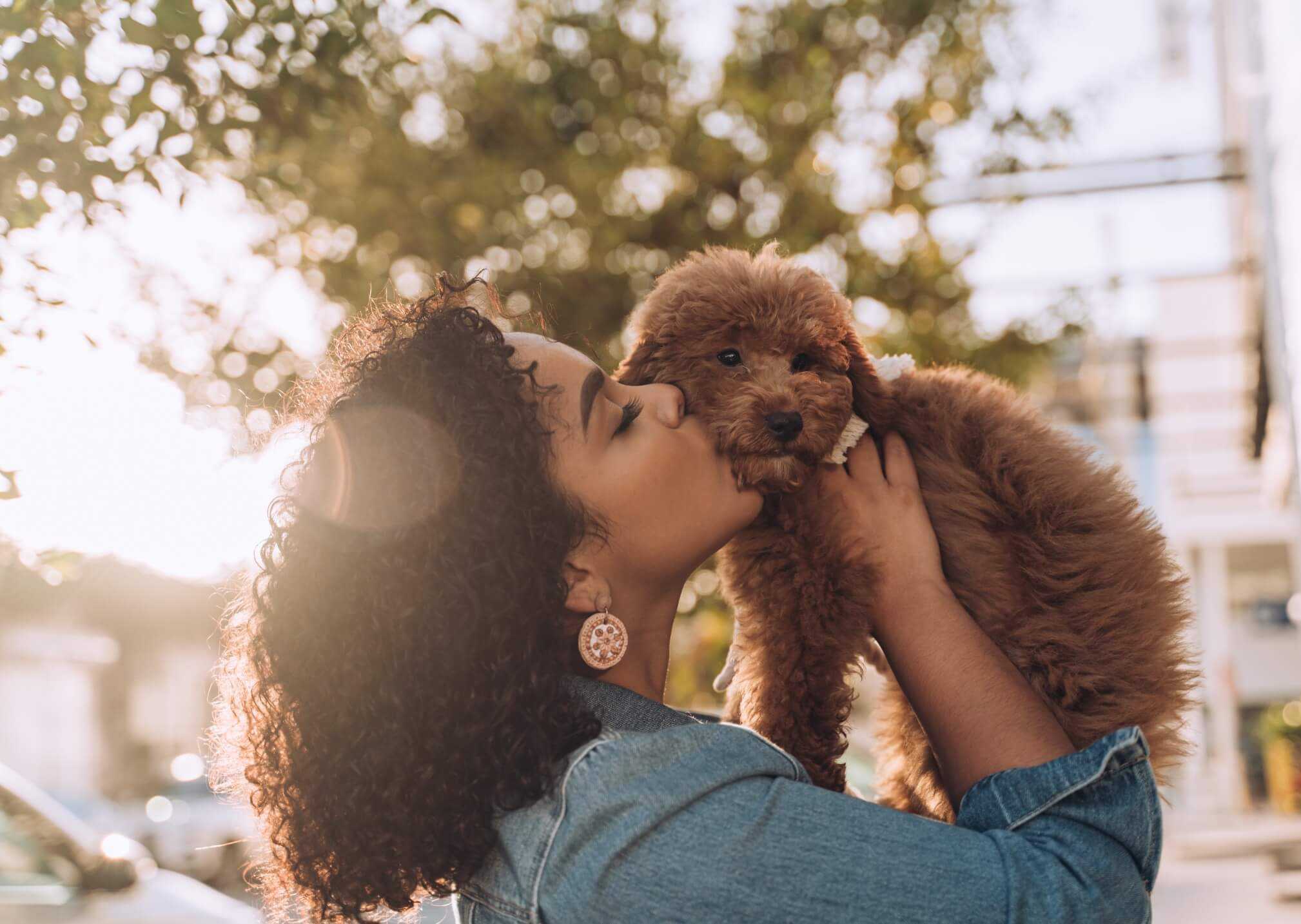 Why I Got Pet Insurance (And Why You Should Consider It, Too.)