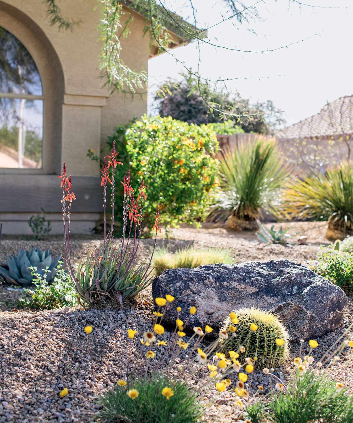 xeriscaped garden design