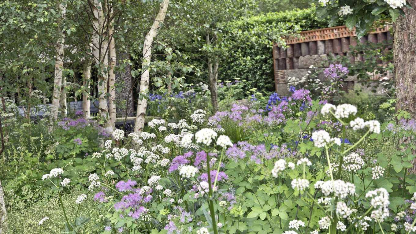 I am an experienced horticulturist and have picked 7 of the best perennials to plant in May - guaranteed to fill any garden with lots of blooms year after year
