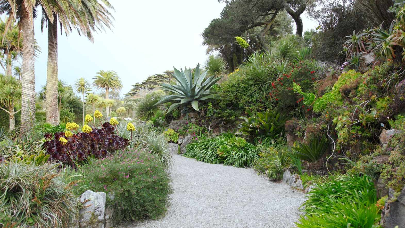 Tropical garden ideas – 10 tips to turn your garden into an oasis of color and movement