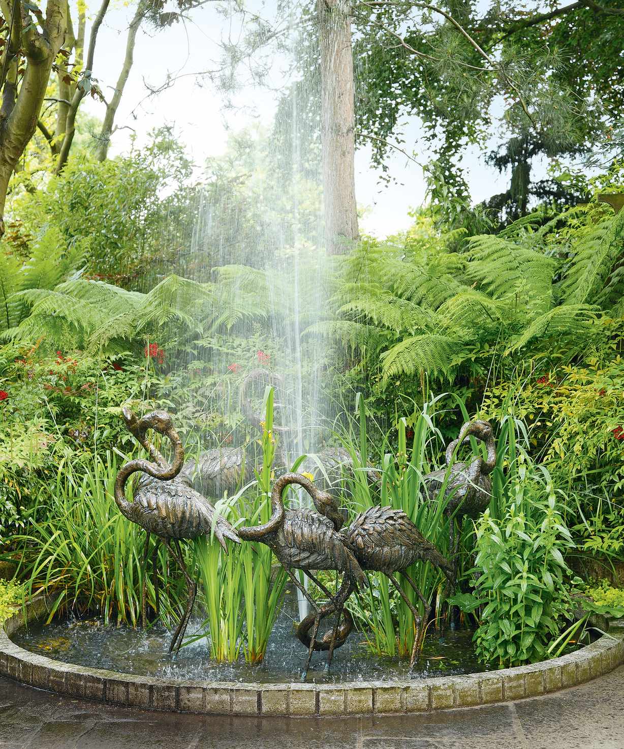 Tropical garden with water feature and ferns