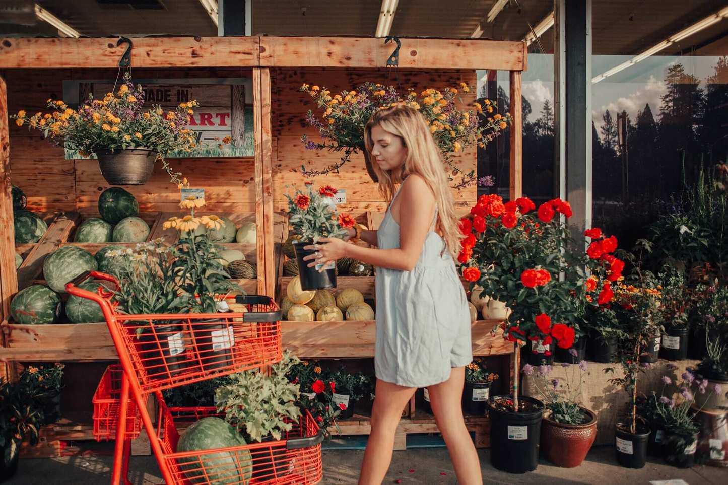Don’t Swipe, Swap. 10 Everyday Trade-Offs That Will Make You A Millionaire