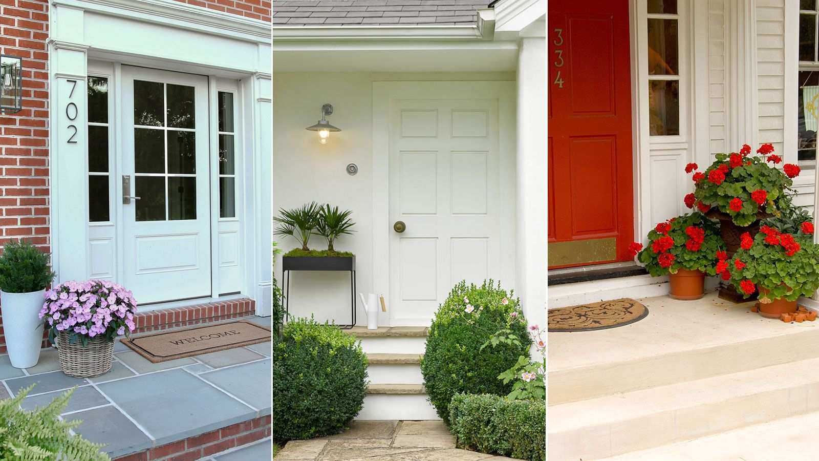 10 front door plants that will add a decorative touch to your home's entrance