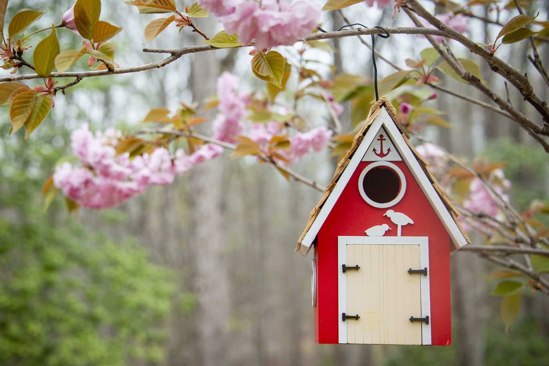 Bird house ideas – 10 homes for your feathered friends