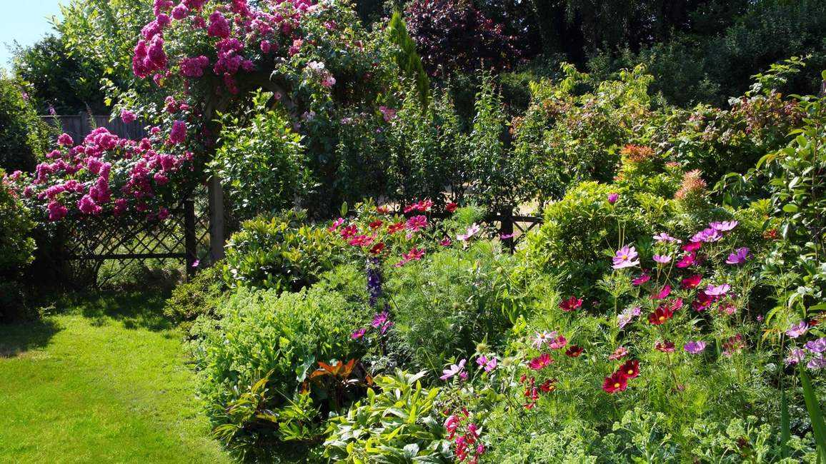 How to keep soil moist in summer – expert tips to keep water locked in the ground