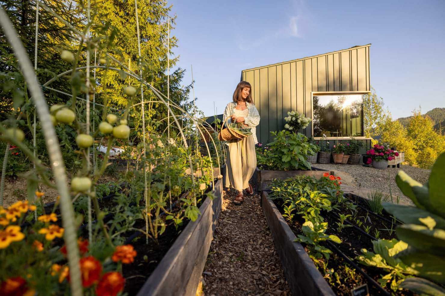 Gardening On The Cheap: How To Get Started Growing