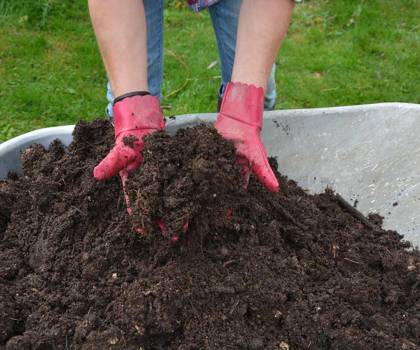 A wheelbarrow full of well rotted homemade compost