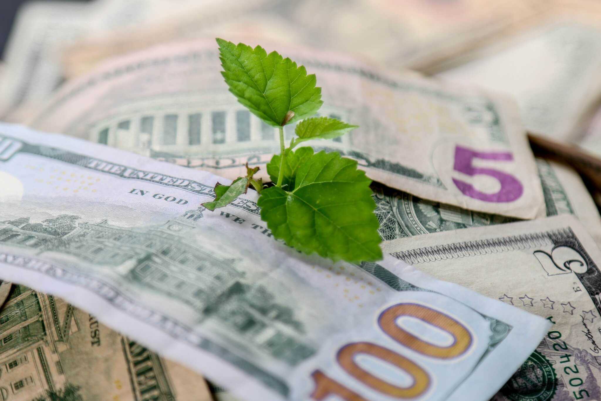 How to Start Investing If You Only Have $1,000 (Or Less)