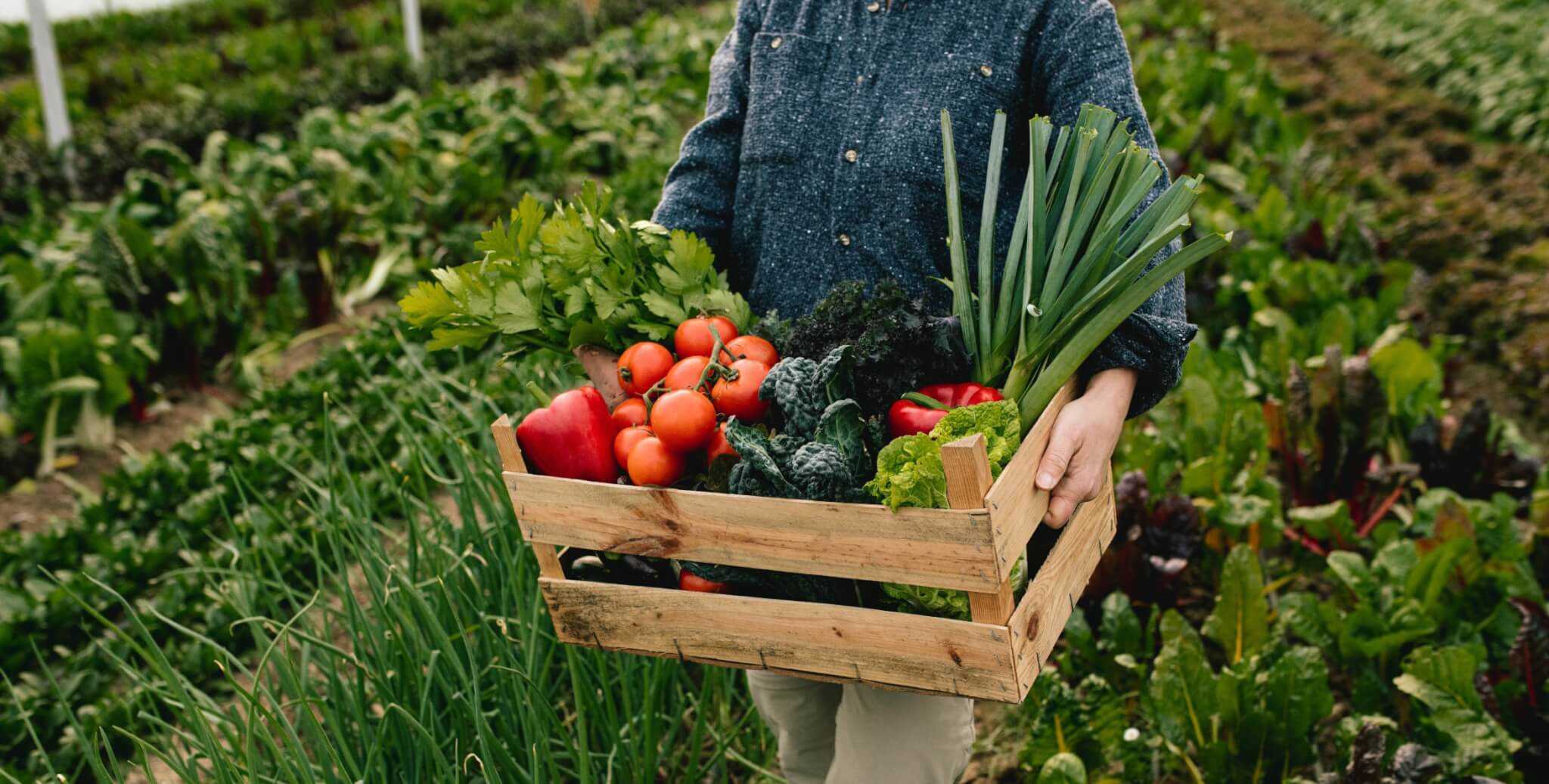 10 Ways To Save Money While Also Saving The Planet